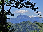 Monte Suchello (1541 m) ad anello via Passo Barbata (1312 m) da Costa Serina il 25 giugno 2022  - FOTOGALLERY